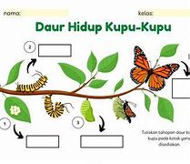 Kupu Kupu Musim Semi Topic Indonesia Bahasa Inggris Pdf Download